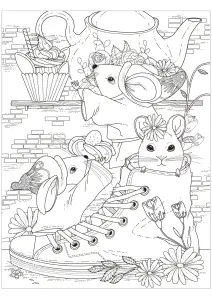 Souris Dans Chaussure