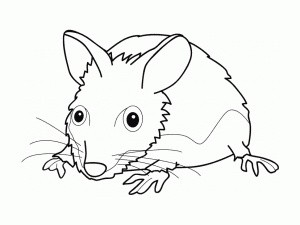 Coloriage de souris à imprimer