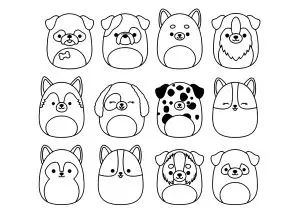 Différentes races de chiens