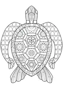 Tortue Composée De Formes Géométriques