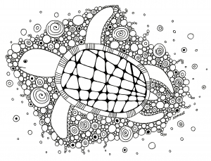 Dessin de tortue gratuit à imprimer et colorier