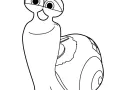 Coloriage De Turbo à Colorier Pour Enfants