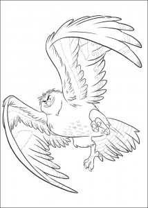 Coloriage facile vaiana aigle