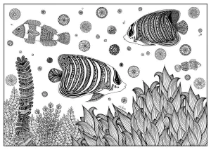 Zentangle Poisson Sabrina