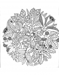 coloring-page-adult-free-to-color-for-kids