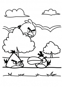 Angry birds coloring pages for kids