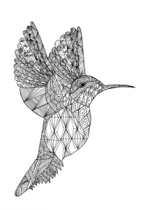 Birds Free To Color For Kids