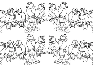Birds