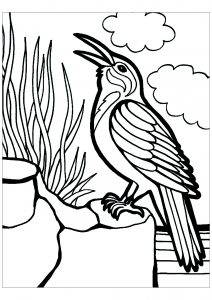 coloring-page-birds-to-print-for-free