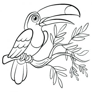 coloring-page-birds-to-color-for-children