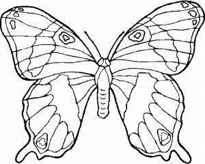 Butterfly coloring for kids