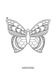 Butterfly coloring cutout