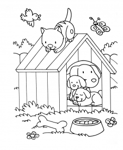 Cat coloring for kids