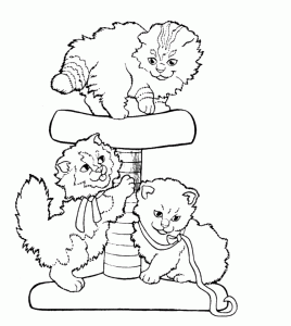 Cat tree and cats to color