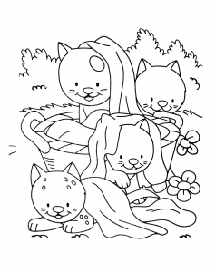 coloring-page-cat-to-download-for-free : Four cats
