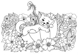 Coloring page cats for children