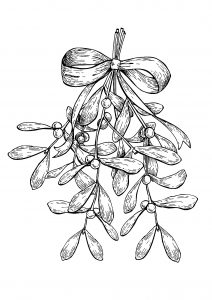 Mistletoe