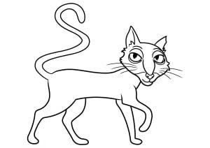 Coraline's cat