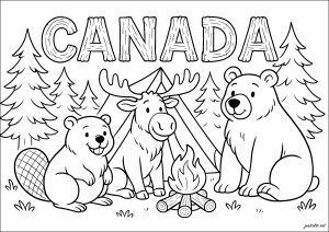Animal adventure in Canada