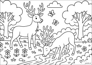 Hinds by the enchanting brook