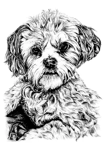 Dog Coloring For Kids