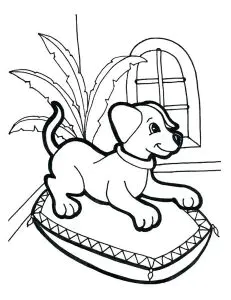 Dog In The Basket