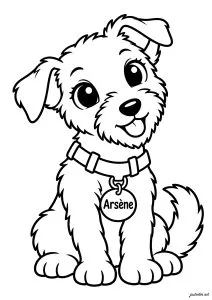 Small sitting dog with a collar. A dog sitting with a medal on its collar bearing the name Arsène.