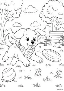Puppy playing with a frisbee