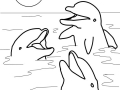 Dolphin Image To Download And Color