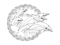 Free Dolphin Coloring Page To Download
