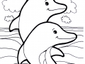 Dolphins image to download and color