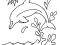 Dolphin coloring pages for kids