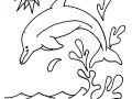 Dolphin Coloring Page For Kids