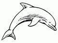 Dolphin Coloring Page For Kids