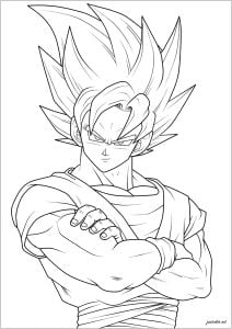 Dragon ball 52299