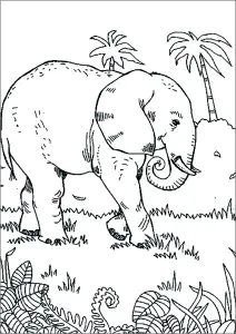 Elephant Walking In The Savannah