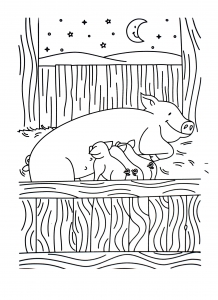 Pig And Her Babies