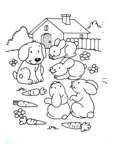 Farm coloring for kids