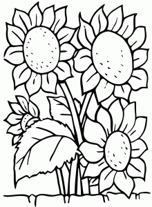 Free Flowers Coloring Download