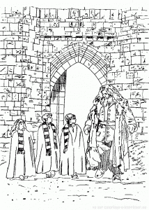 Hagrid, Harry Potter, Hermione And Ron