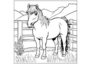 Horses 24201