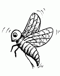 coloring-page-insects-to-color-for-children