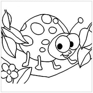 Small Ladybug