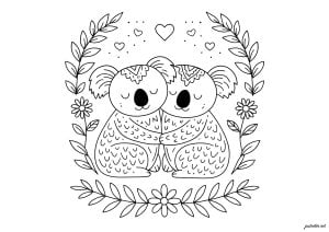 Tender koalas in love