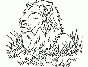 coloring-page-lion-for-kids