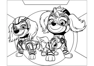 Two Superhero Puppies