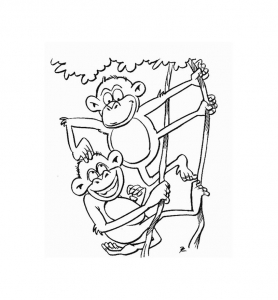 Monkey coloring for kids