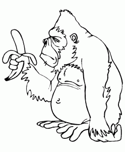 coloring-page-monkeys-to-color-for-kids