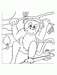 Monkey coloring pages for children