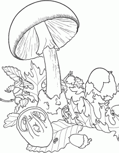 Printable Mushroom Coloring Page For Kids